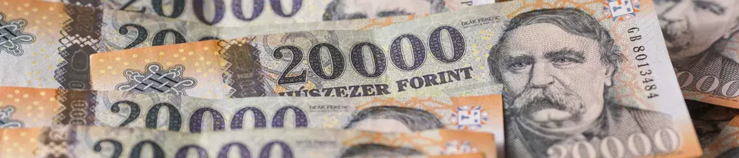 Meglepkék Adventi Játék: A Talált pénz és az Öröm Találkozása