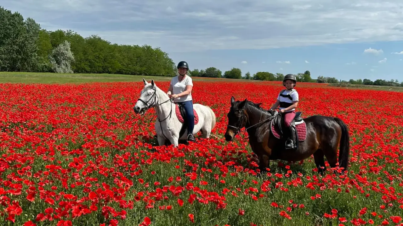 Szállj nyeregbe Anyával! – Tereplovaglás a Dél-Alföldön (kezdőknek is)