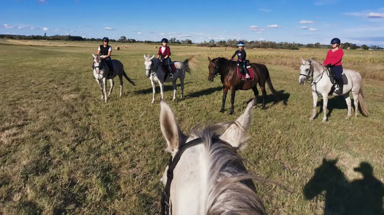 Egész napos lovas túra az alföldi betyár utakon gyakorlott lovasoknak