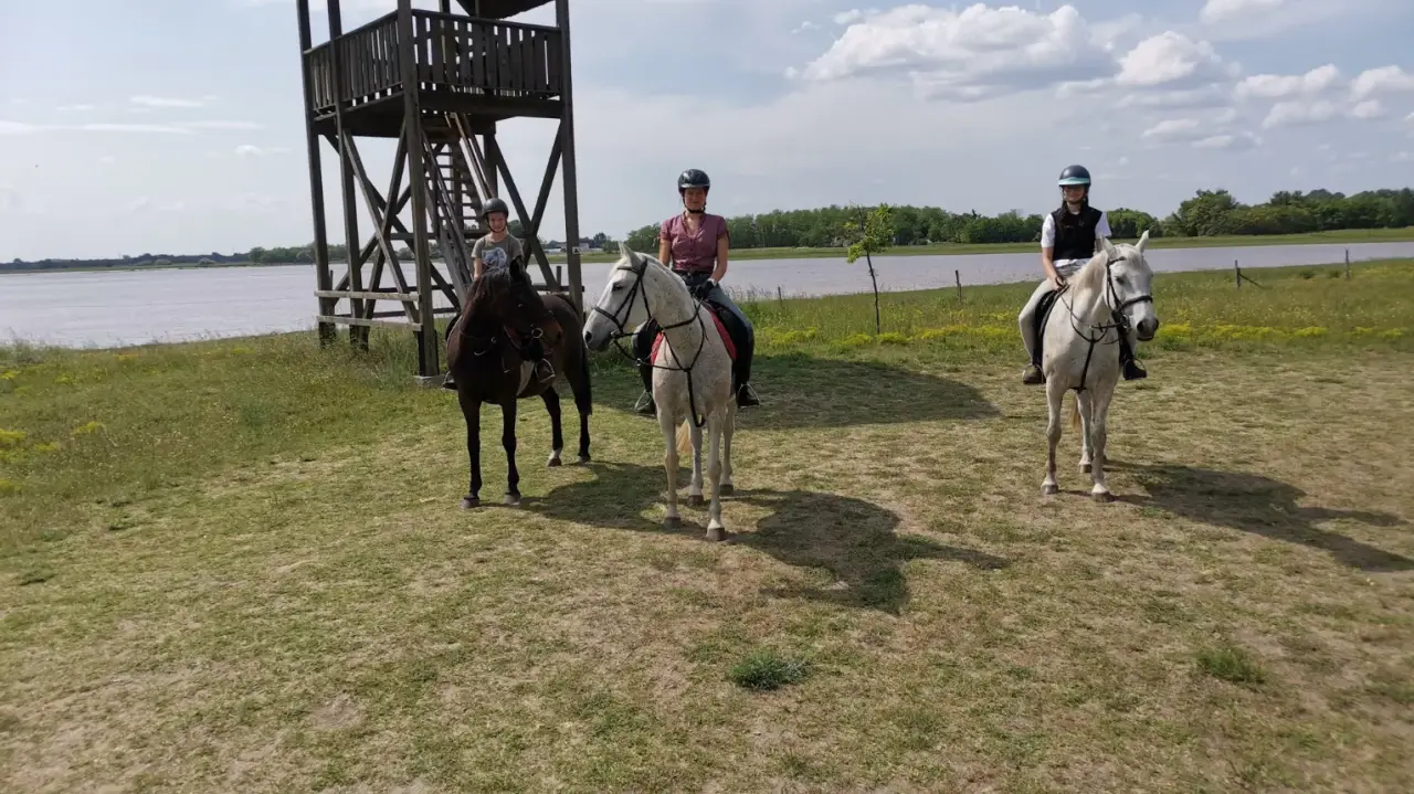 Családi/ 3 fős Tereplovaglás a Dél-Alföld pusztáin haladóknak