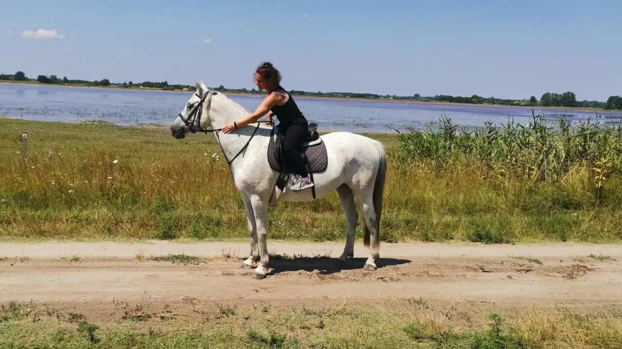 Tereplovaglás a Dél-Alföld pusztáin haladóknak