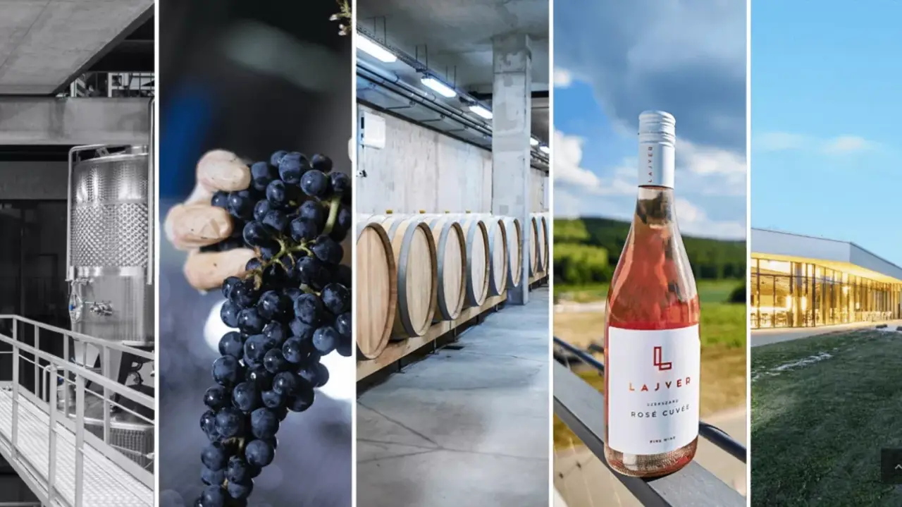 5 tételes borkóstoló a Lajver Borbirtokon