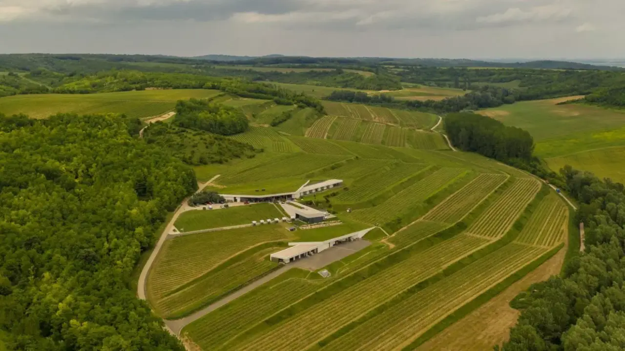 Prémium 7 tételes borkóstoló a Lajver Borbirtokon