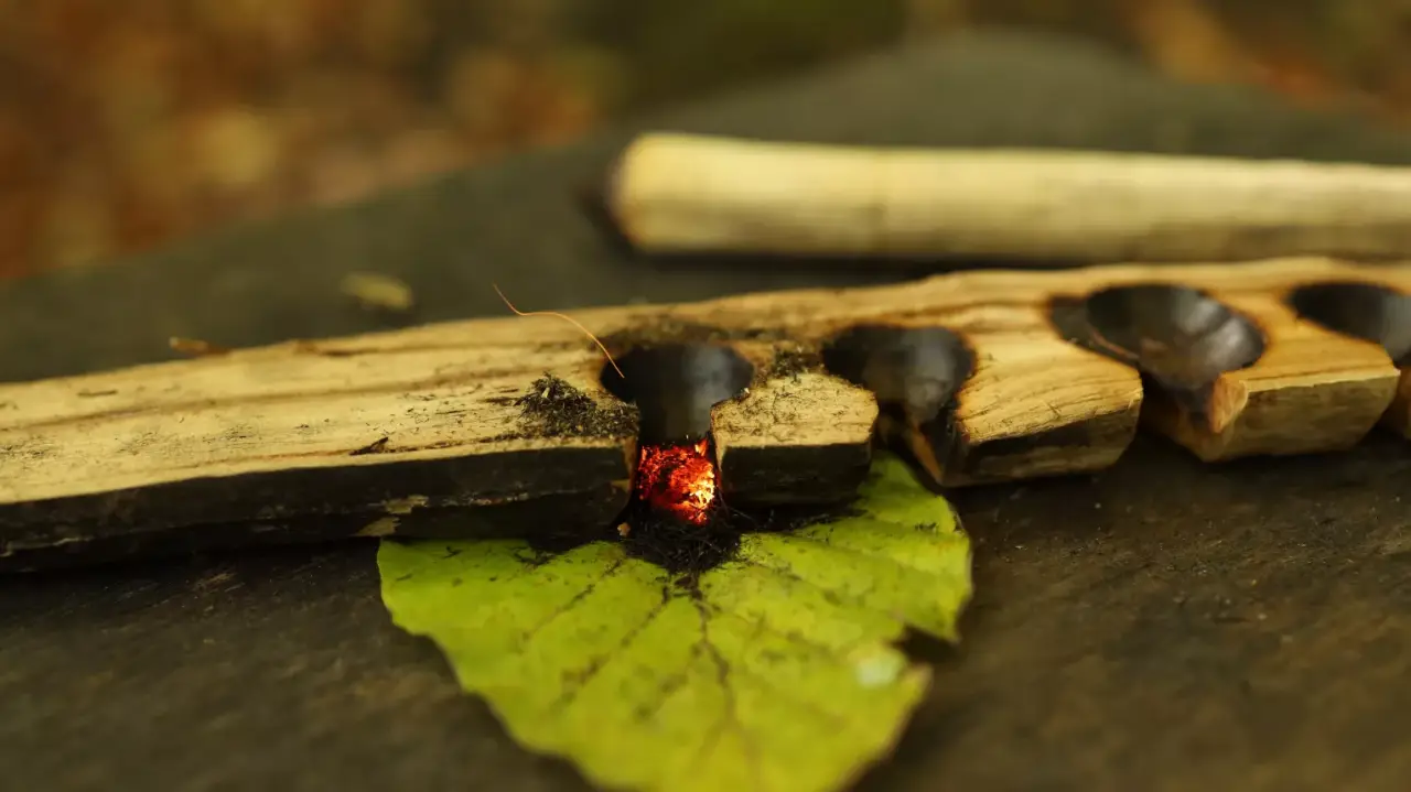 Tűzgyújtás kurzus Modern és Hagyományőrző módszerekkel a Bakony erdeiben / Családi erdei kaland a Bakonyban