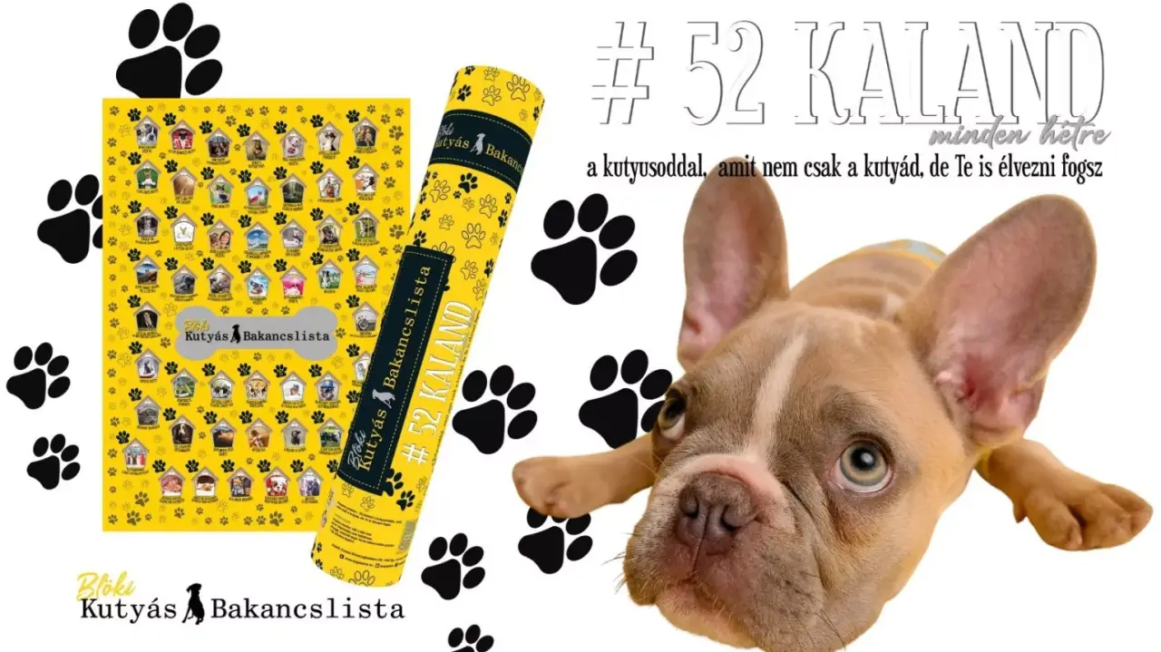 BLÖKI-A kutyás bakancslista 52 hétre/52 közös élmény kedvenceddel