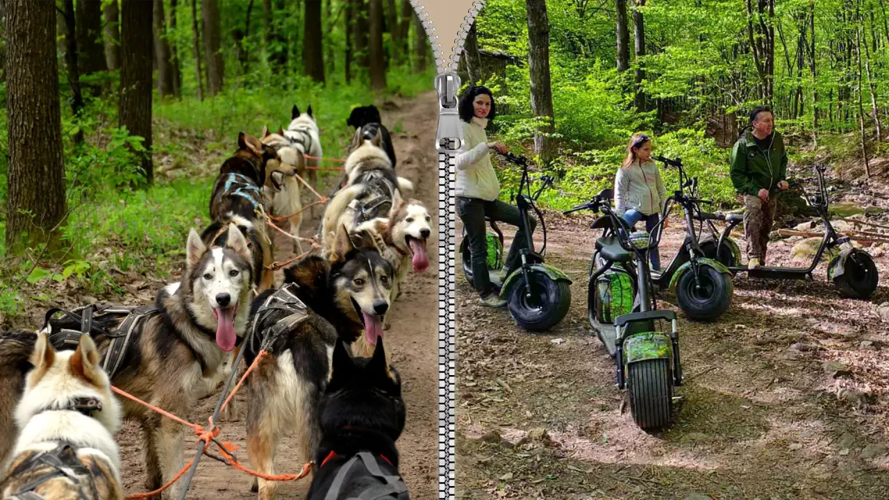Extra Husky kutyafogat túra és utána E-scooter kalandozás a Mátrában