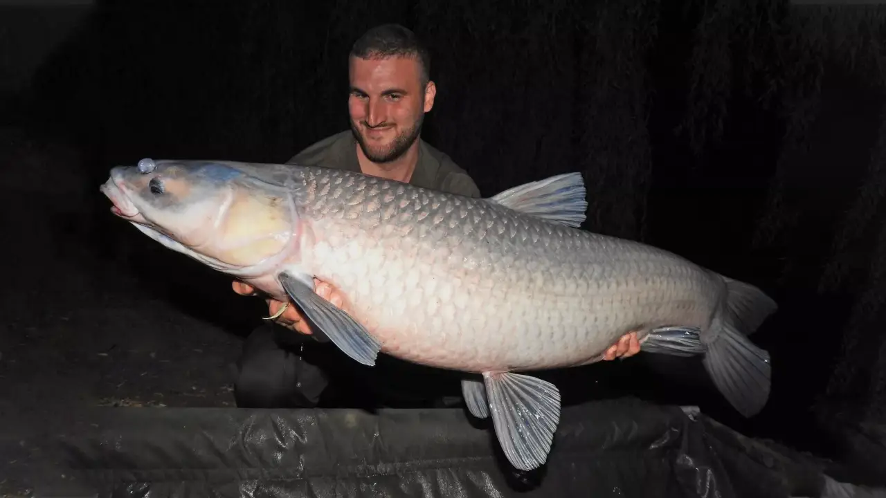 Kiskorpádi Horgászparadicsomban Bakancslistás példányokra pecázhatsz