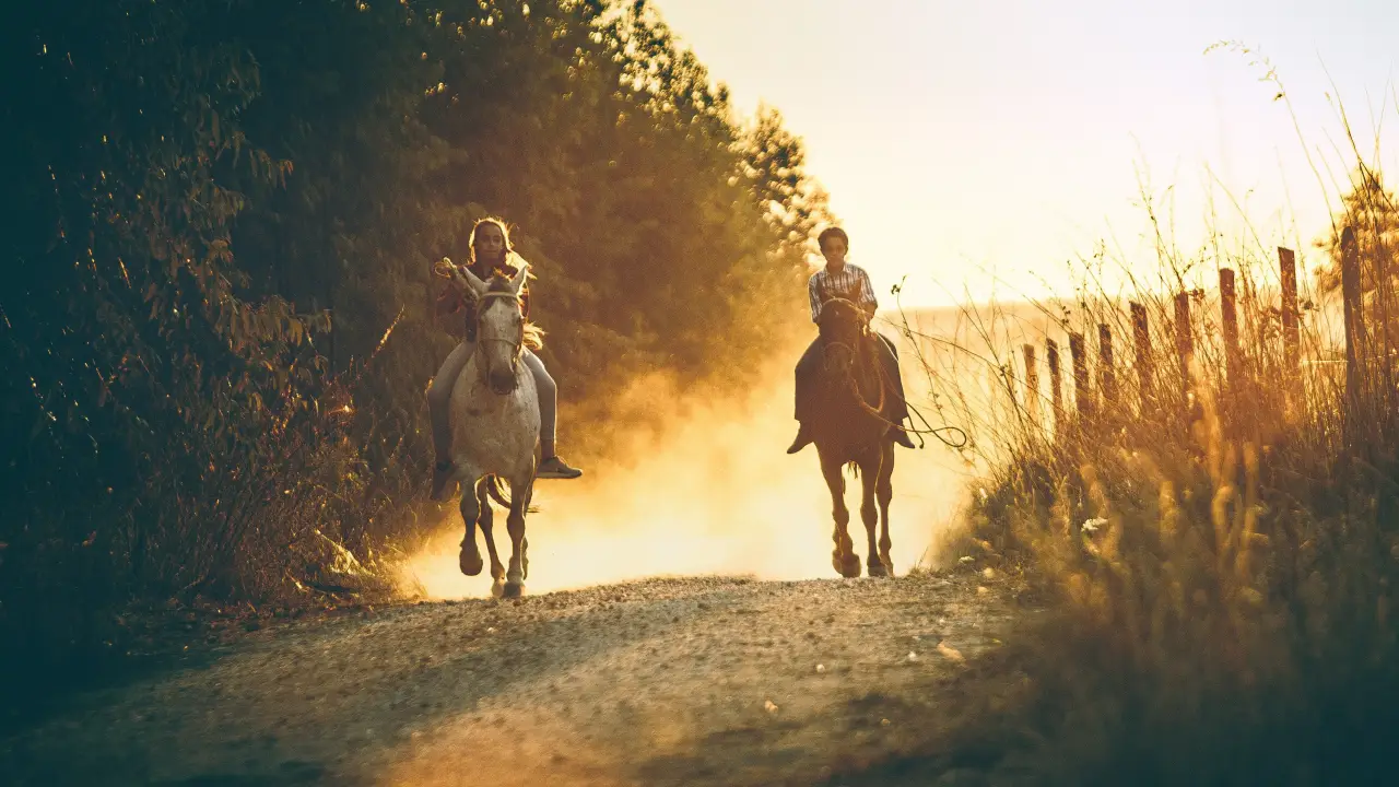 Lovasoktatás Bakonyban kezdőknek - 5 alkalmas bérlet