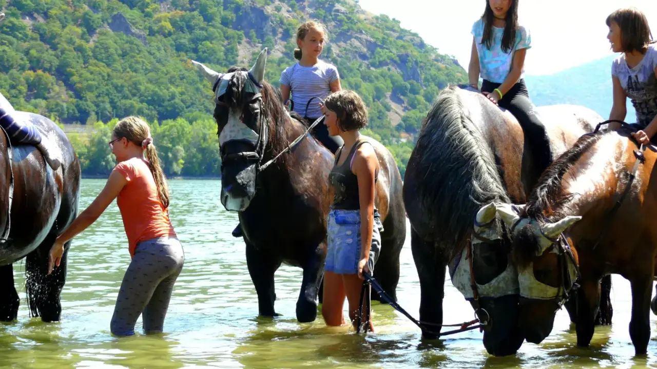 Lovas fürdőzés gyerekeknek a Dunakanyarban Dömösön!