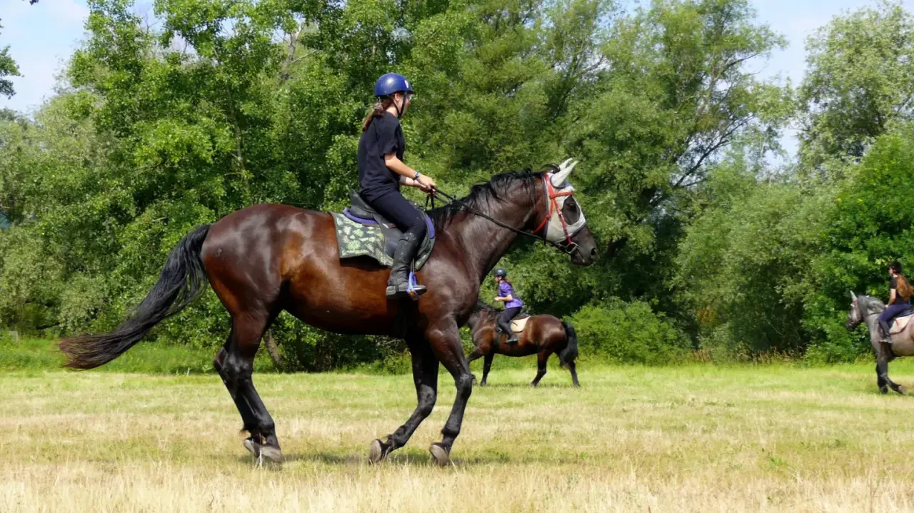 Felnőtteknek Tereplovaglás a Dunakanyarban a hegyek alatt, vízparton!