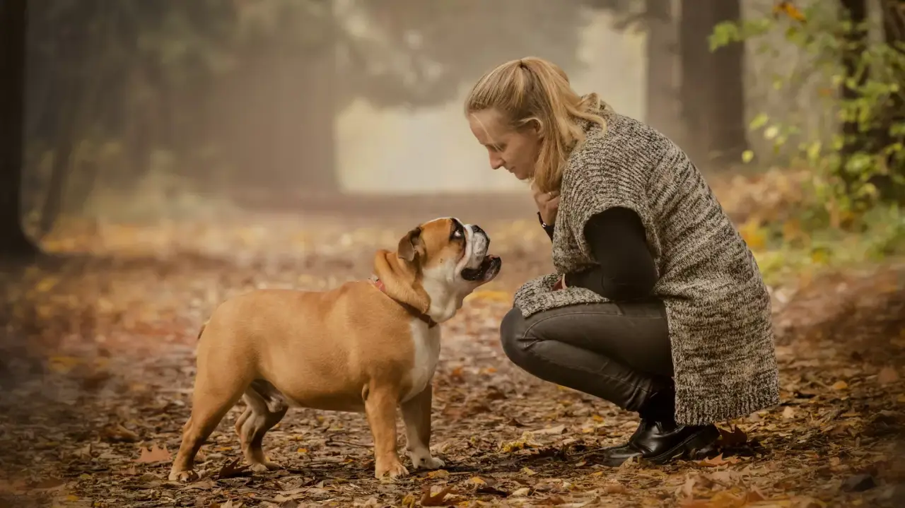 Mancs Mentor! Kutya - gazdi kapcsolatfejlesztő program