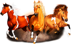 Állatos élmények 2