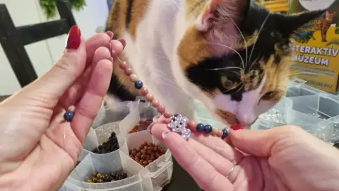 Cicák közt Anyával – Ásványkarkötő-készítő Workshop Budapesten 3