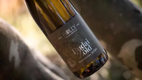 Szőlőtőkétől a palackig – Borkóstoló a Folly Arborétumban 4