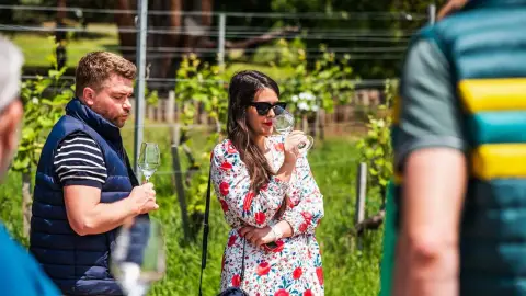 Szőlőtőkétől a palackig – Borkóstoló a Folly Arborétumban 6