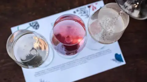 Szőlőtőkétől a palackig – Borkóstoló a Folly Arborétumban 10