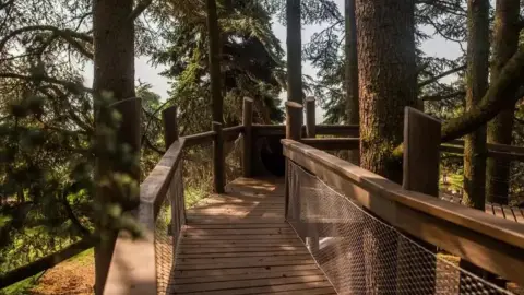 Édes élmény Anyával – Szörpkóstoló a Folly Arborétumban 8