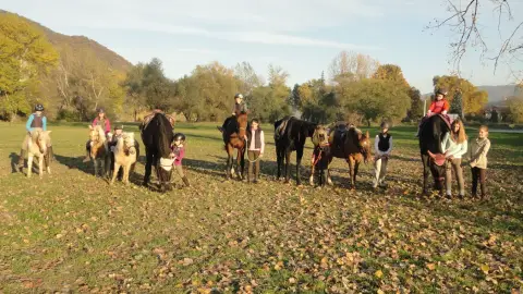 Lovasélmény gyerekeknek terepen a Dunakanyarban 2