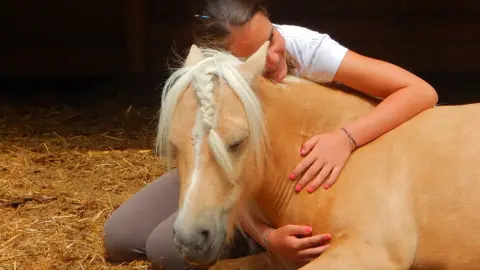 Lovasélmény gyerekeknek terepen a Dunakanyarban 3