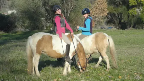 Lovasélmény gyerekeknek terepen a Dunakanyarban 4