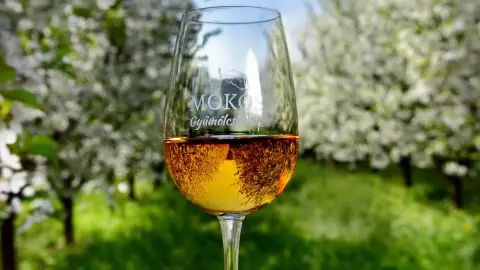 Édes élmény, zamatos pillanatok! – Gyümölcsborkóstoló Villánykövesden 6