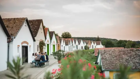 Fedezd fel a Villányi Borvidék legszebb Pincesorát! – Pincejáró túra Villánykövesden 2