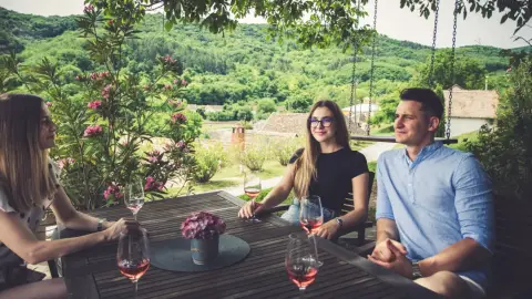 Fedezd fel a Villányi Borvidék legszebb Pincesorát! – Pincejáró túra Villánykövesden 13