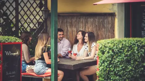 Fedezd fel a Villányi Borvidék legszebb Pincesorát! – Pincejáró túra Villánykövesden 10