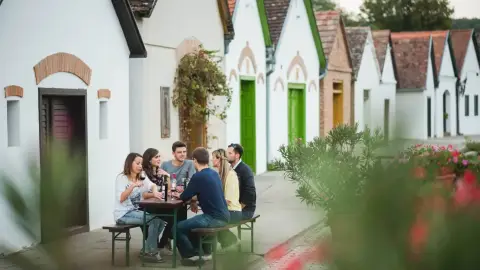 Fedezd fel a Villányi Borvidék legszebb Pincesorát! – Pincejáró túra Villánykövesden 16