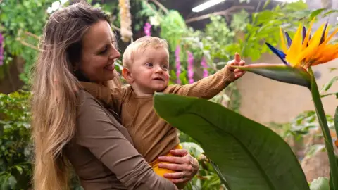 Egy mesebeli élmény! – Belépő a Papilonia Lepkevilágba (Gyermek/Diák/Nyugdíjas) 20