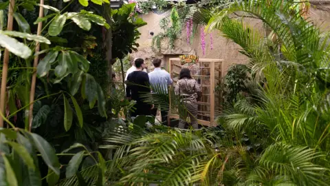 Pillangóles Apuval! – Felnőtt-gyermek páros belépő a Papilonia Lepkevilágba 2