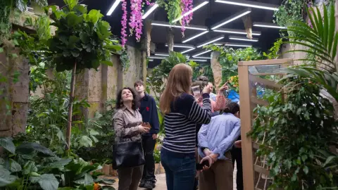 Pillangóles Apuval! – Felnőtt-gyermek páros belépő a Papilonia Lepkevilágba 7