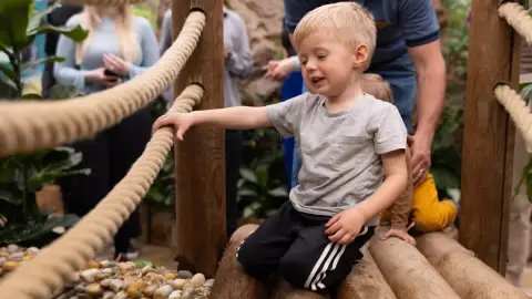 Pillangóles Apuval! – Felnőtt-gyermek páros belépő a Papilonia Lepkevilágba 9