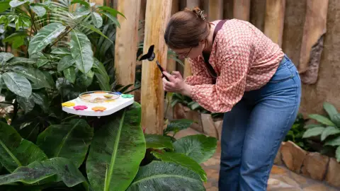 Pillangóles Apuval! – Felnőtt-gyermek páros belépő a Papilonia Lepkevilágba 10