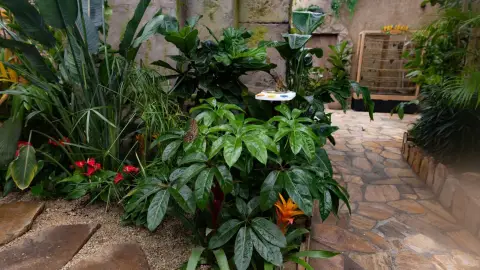 Pillangóles Apuval! – Felnőtt-gyermek páros belépő a Papilonia Lepkevilágba 11