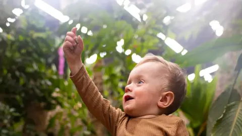 Pillangóles Apuval! – Felnőtt-gyermek páros belépő a Papilonia Lepkevilágba 16