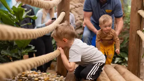 Pillangóles Apuval! – Felnőtt-gyermek páros belépő a Papilonia Lepkevilágba 18