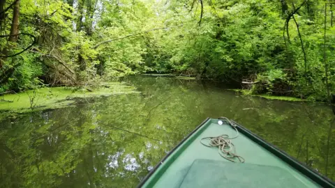 Különleges randiprogram természetkedvelőknek 3
