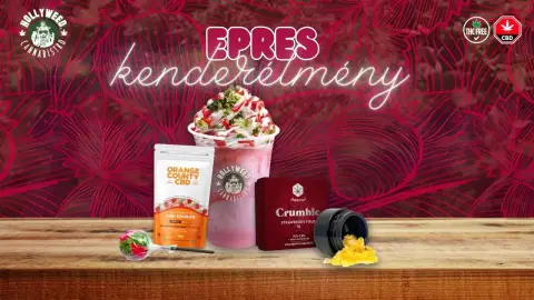 Epres kender élmény a Hollyweed Cannabistroban 2