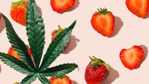 Epres kender élmény a Hollyweed Cannabistroban 1