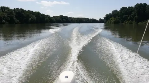 Élményhajózás Heléna hajóval a Tisza-tó nem védett vizein 4