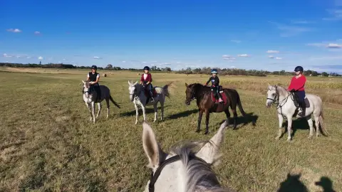 Családi/ 3 fős Tereplovaglás a Dél-Alföld pusztáin haladóknak 2