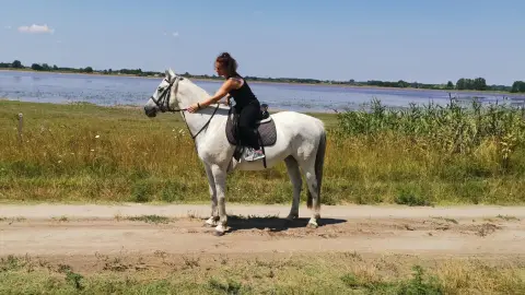 Tereplovaglás a Dél-Alföld pusztáin haladóknak