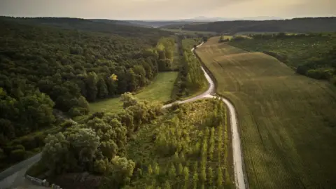 Prémium 7 tételes borkóstoló a Lajver Borbirtokon 7