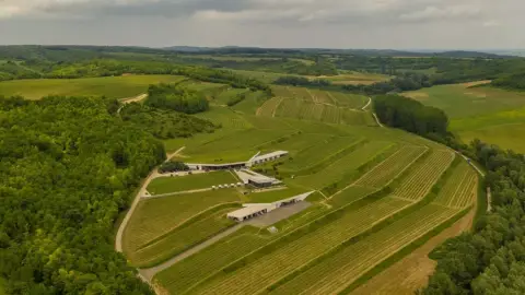 Prémium 7 tételes borkóstoló a Lajver Borbirtokon 10