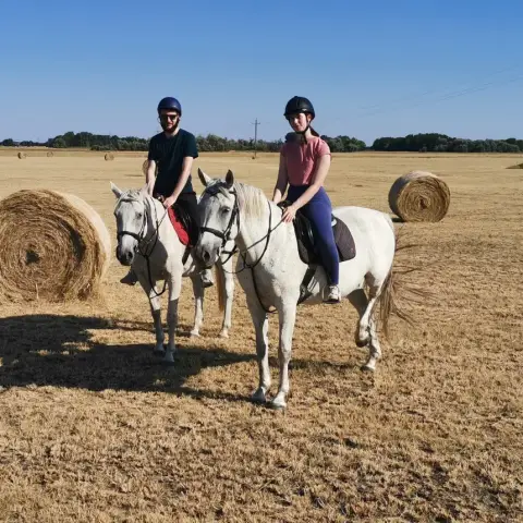 Romantikus Tereplovaglás kettesben a Dél-Alföld pusztáin haladóknak 3