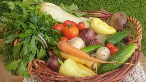 Kert PÁTYolgató workshop 1