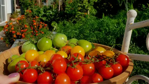 Kert PÁTYolgató workshop 4