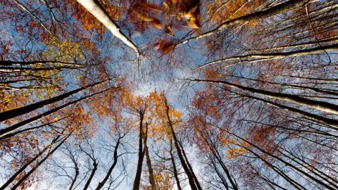 Kettesben pihenés Bakony szívében a JákóHázban hétköznap 12