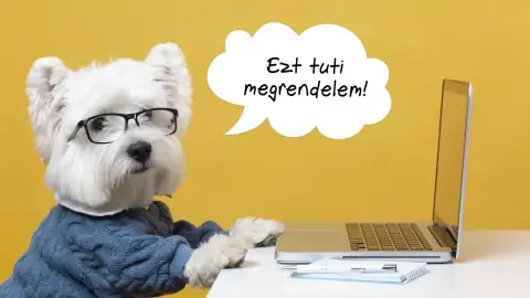 BLÖKI-A kutyás bakancslista 52 hétre/52 közös élmény kedvenceddel 3